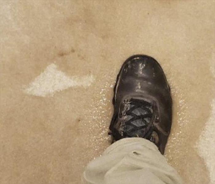 a person with black shoes standing on a water soaked carpet